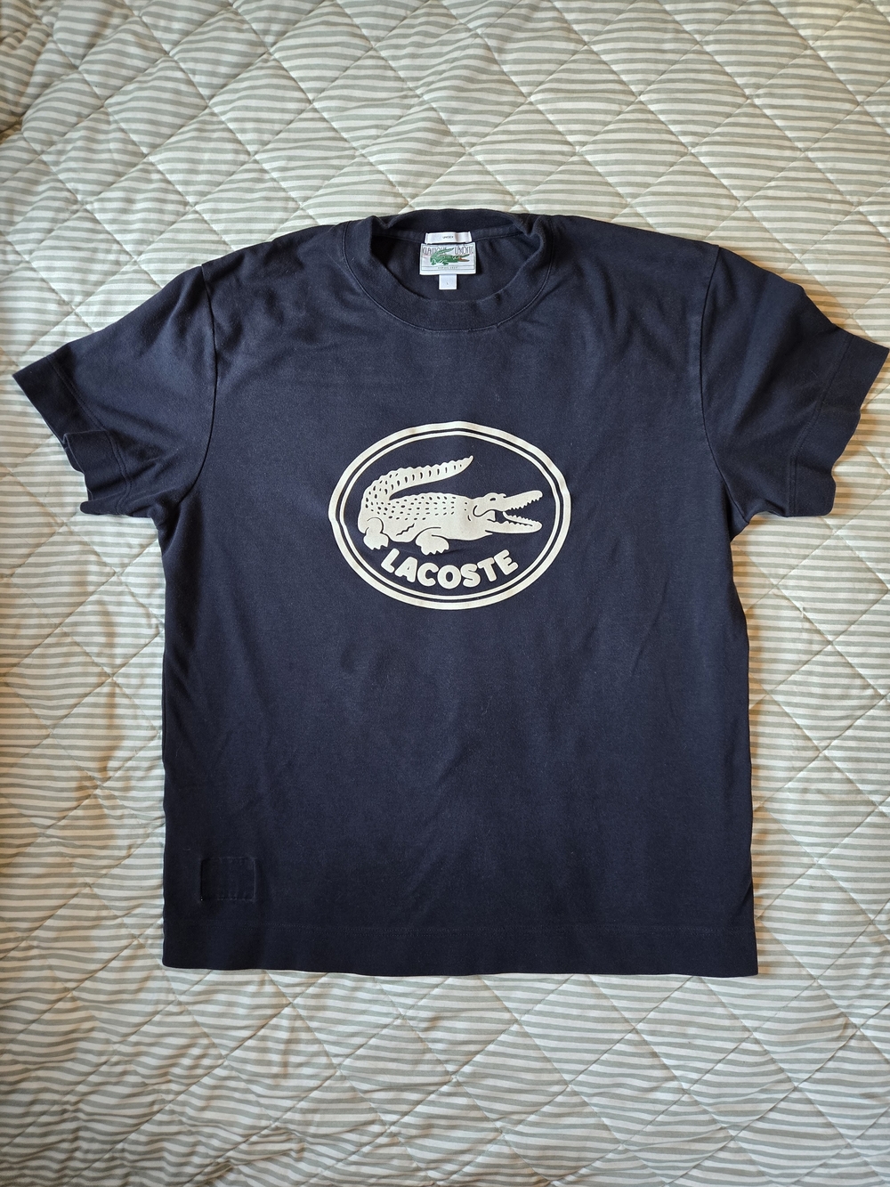 Unisex Cotton Lacoste Navy Blue Tee with Large White Croc Logo